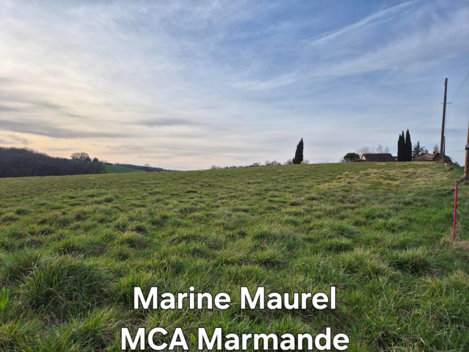 Charmant terrain viabilisé de 3500m2 en vente à Tombeb?uf (47380)