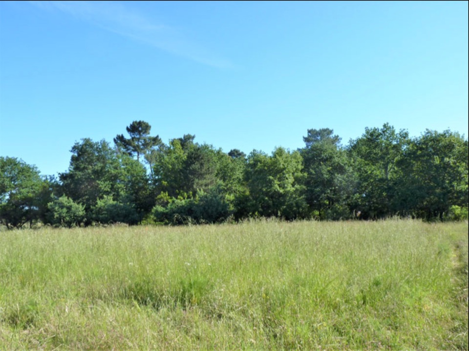 terrain à construire viabilisé de 832m2 disponible à Landiras