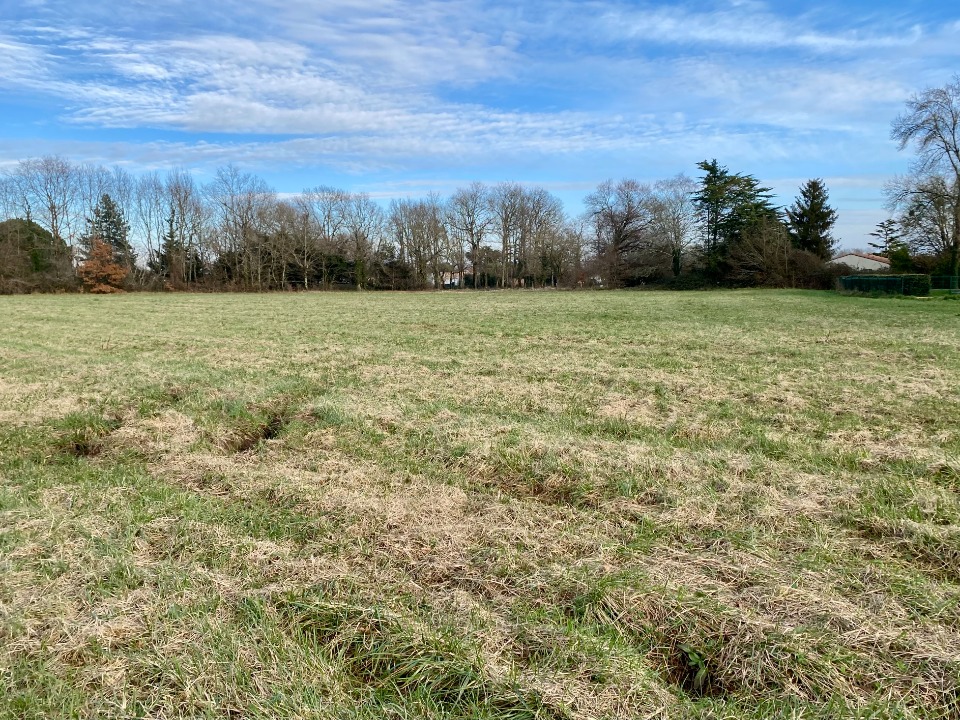 terrain constructible de 547m2 à Saujon