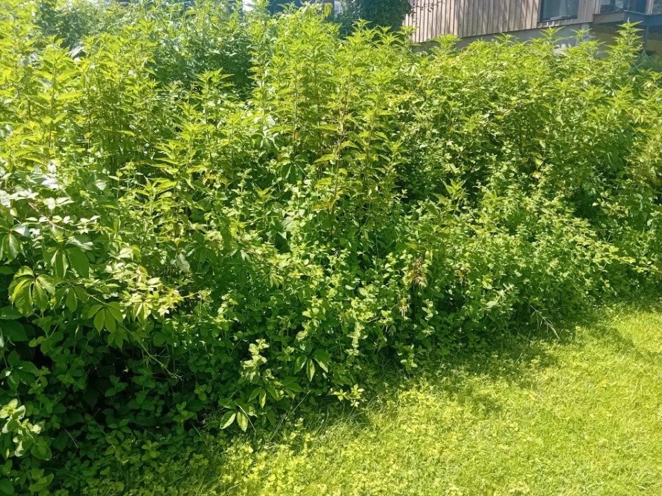 Superbe terrain de 600m2 à Le Teich