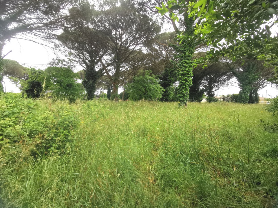 Très beau terrain constructible viabilisé disponible à Saint-Maixant (33490)