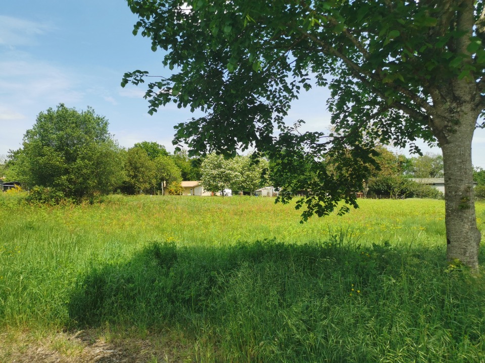terrain viabilisé de 910m2 en vente à Bazas