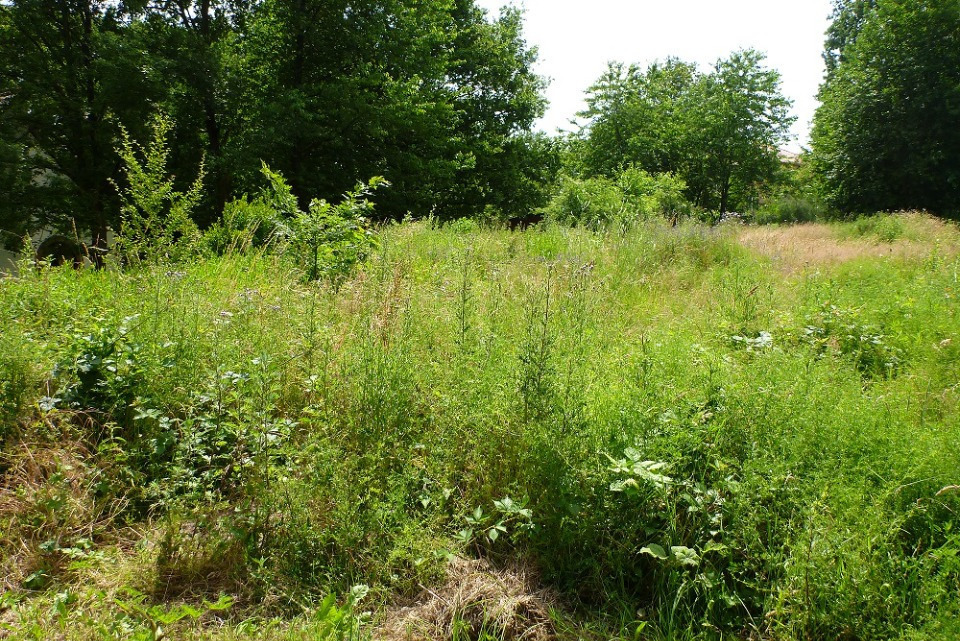 Offre de terrain viabilisé de 640m2 en vente à Eysines