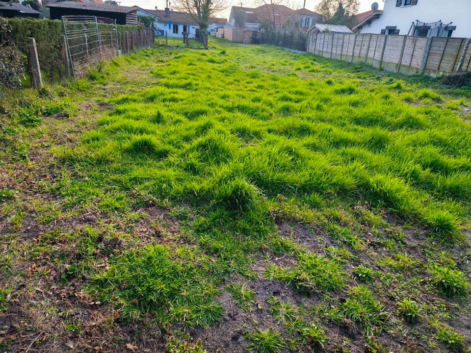 terrain à vendre viabilisé de 415m2 en vente à Salles (33770)
