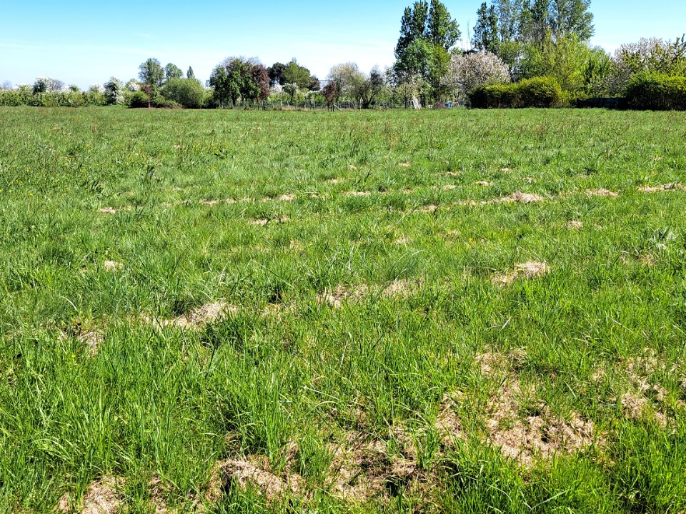 terrain à construire de 1100m2 à Bergerac (24100)