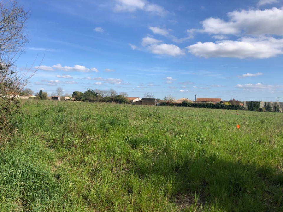 Beau terrain de 422m2 disponible à Ardillières (17290)