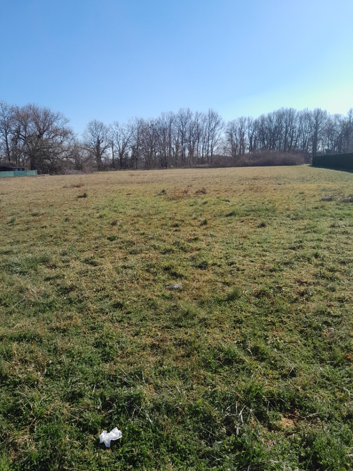 terrain à vendre viabilisé à Sanguinet (40460)