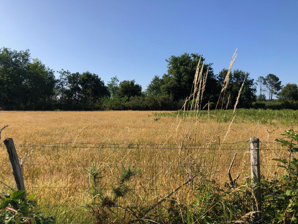 Charmant terrain à construire disponible à Saint-Jean-d'Illac (33127)