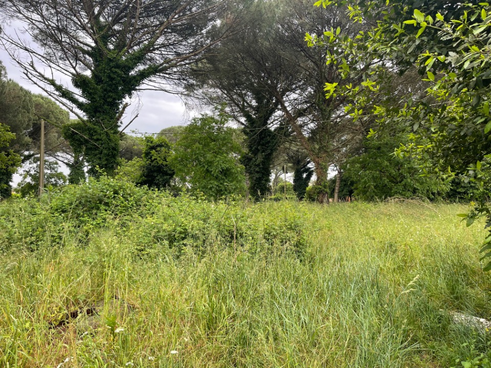 Superbe terrain constructible de 900m2 à Saint-Maixant