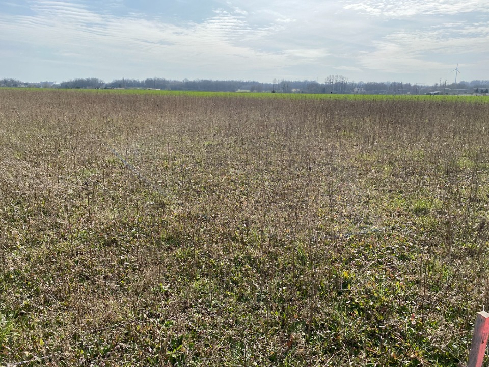 terrain à vendre de 543m2 en vente à Archingeay (17380)
