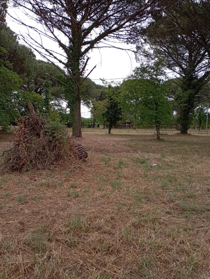 Agréable terrain à vendre en vente à Saint-Maixant (33490)