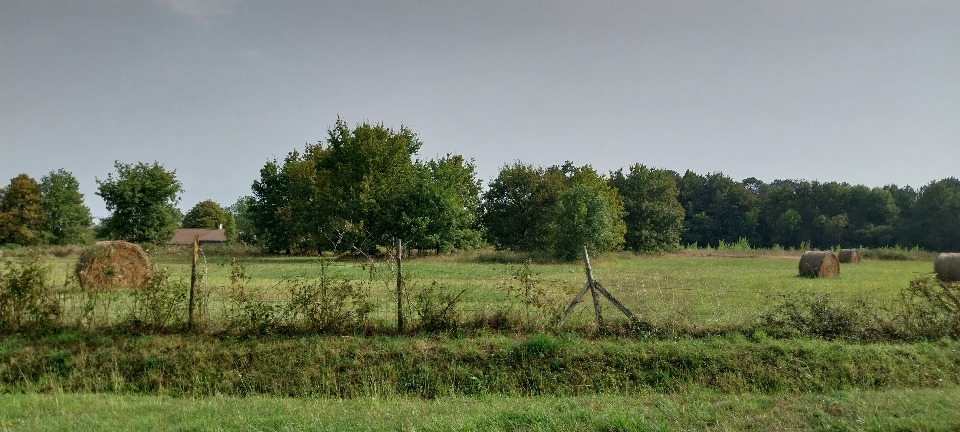 Magnifique terrain à batir viabilisé de 1230m2 disponible à Cadillac-en-Fronsadais (33240)