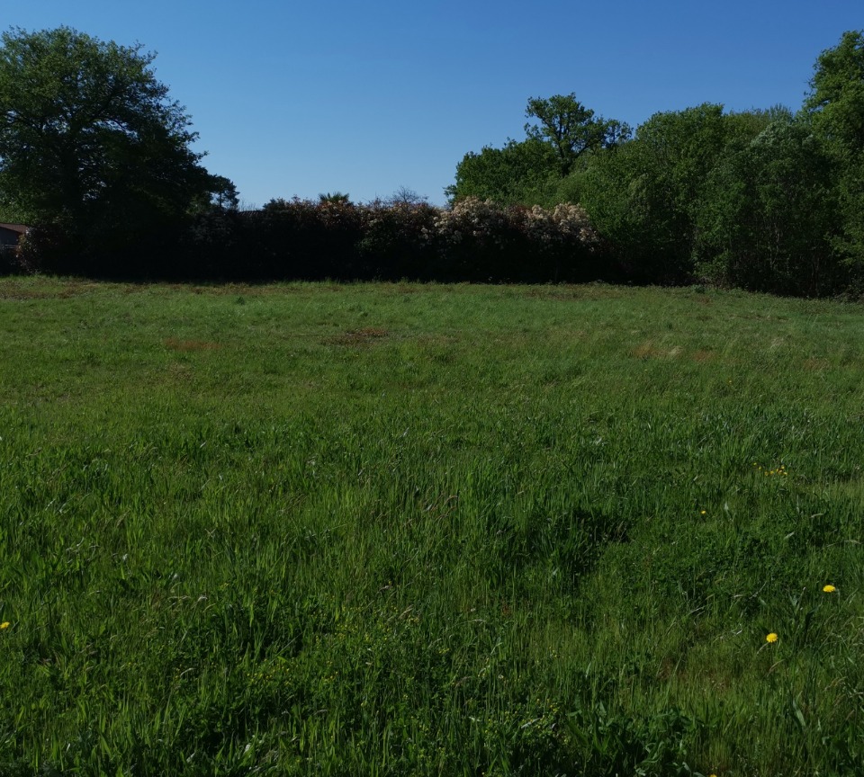 terrain viabilisé de 1450m2 en vente à Périgueux (24000)
