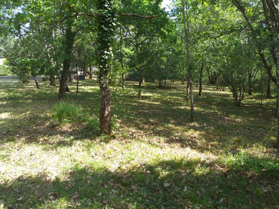 terrain à construire de 1300m2 en vente à Andernos-les-Bains