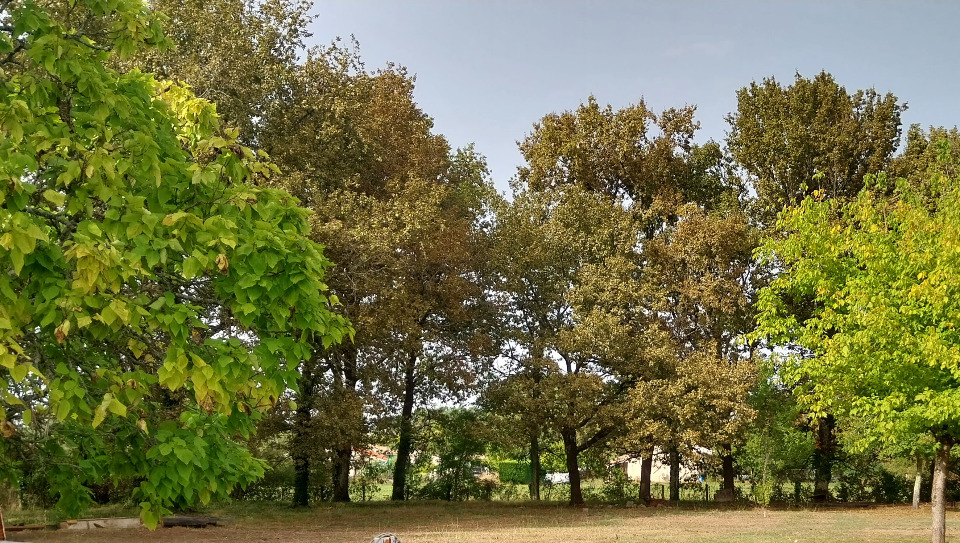 Ravissant terrain constructible de 405m2 à Lugon-et-l'Île-du-Carnay (33240)