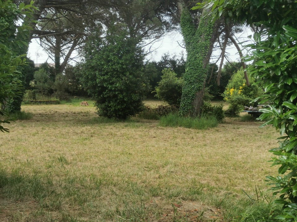 Agréable terrain constructible disponible à Saint-Maixant