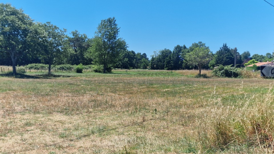 Superbe terrain à construire en vente à Saint-Savin