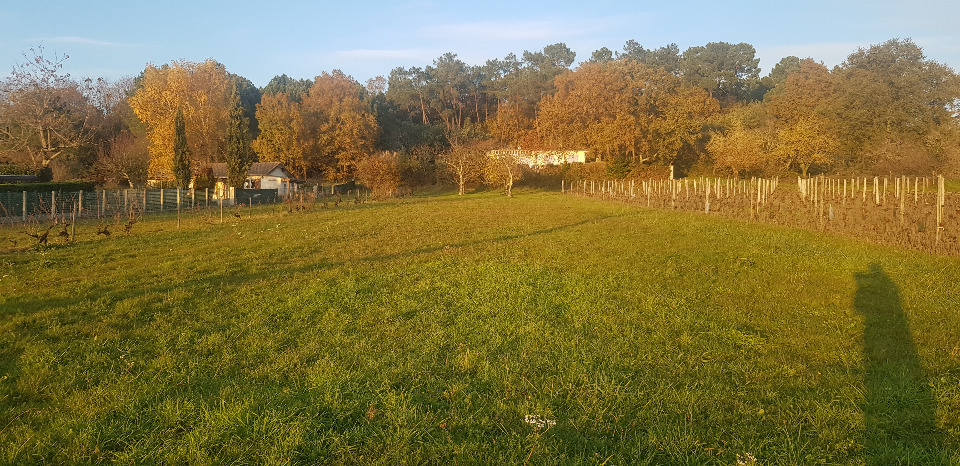 terrain à construire viabilisé disponible à Saint-Mariens (33620)