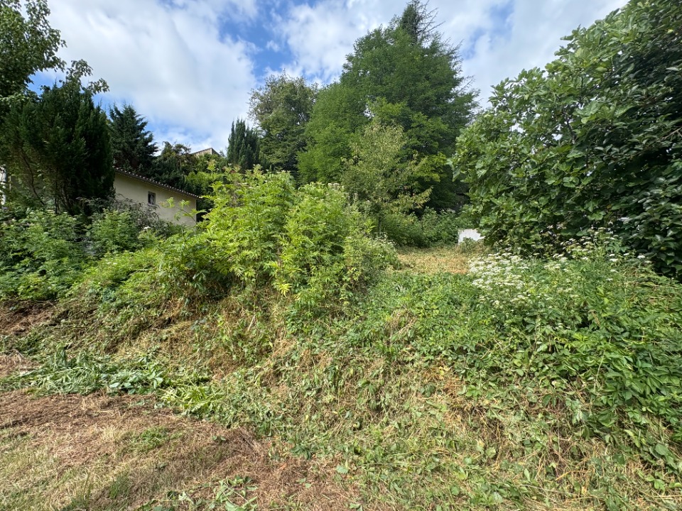 terrain à vendre de 303m2 en vente à Cardan