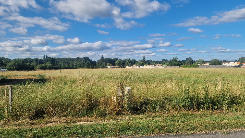 Sublime terrain viabilisé en vente à Pugnac (33710)