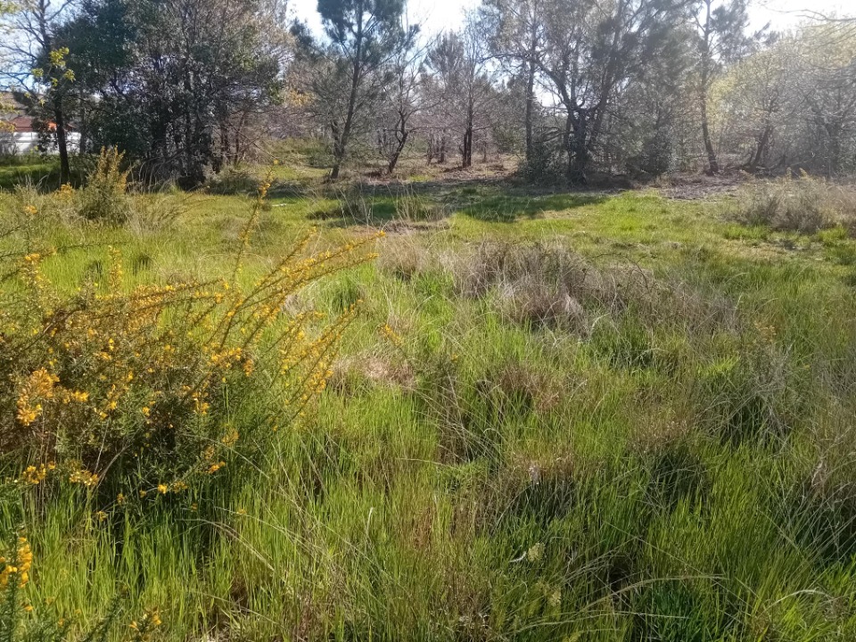 terrain à vendre viabilisé de 700m2 disponible à Lanton