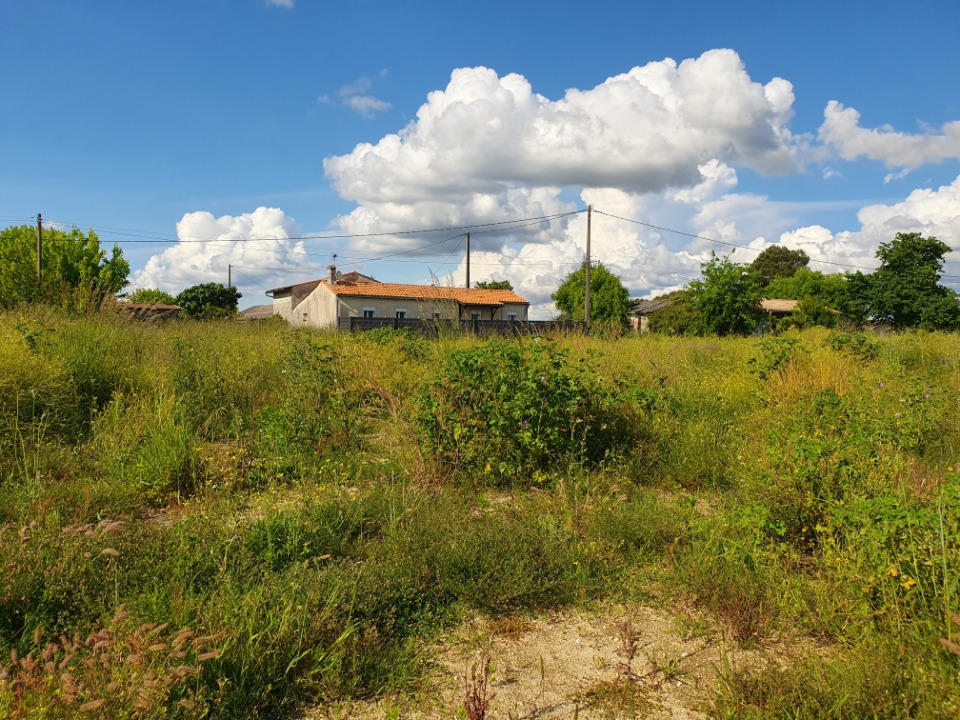 terrain à construire viabilisé de 601m2 disponible à Pugnac (33710)