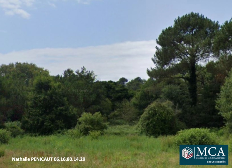 Ravissant terrain viabilisé à Messanges