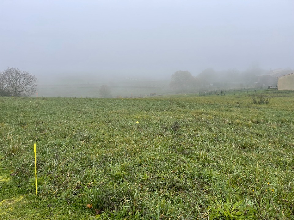 Superbe terrain à vendre viabilisé de 803m2 en vente à Saint-André-du-Bois (33490)