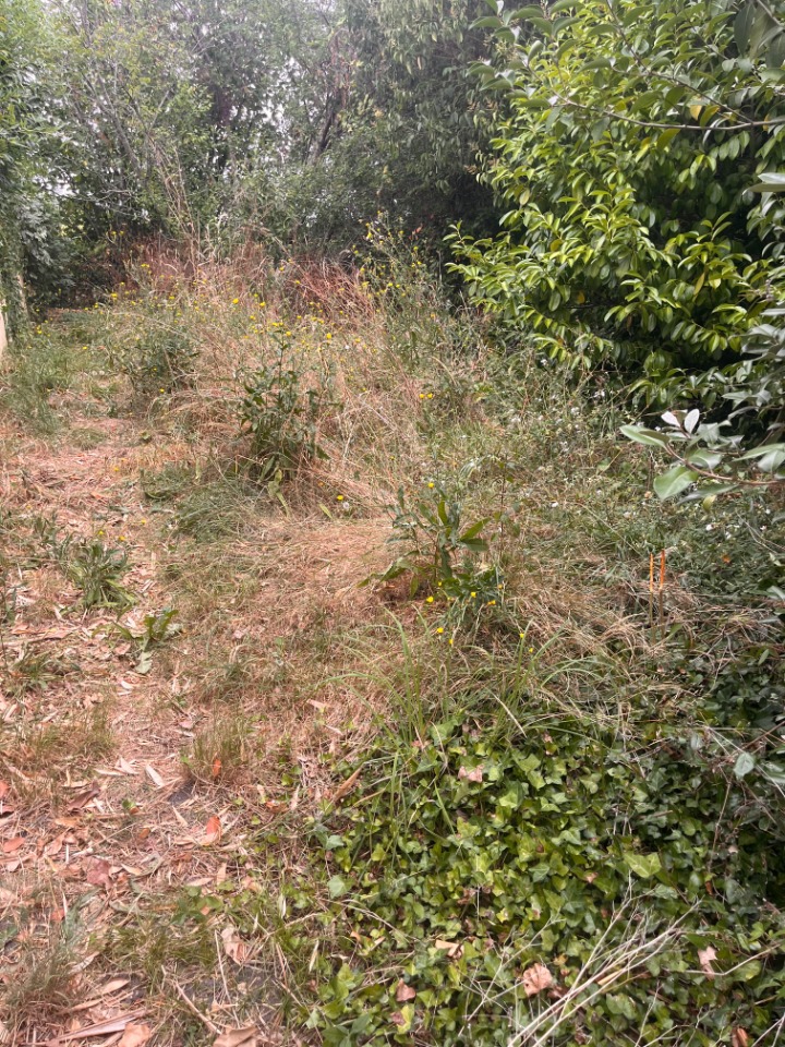 Beau terrain viabilisé de 400m2 à Loupiac