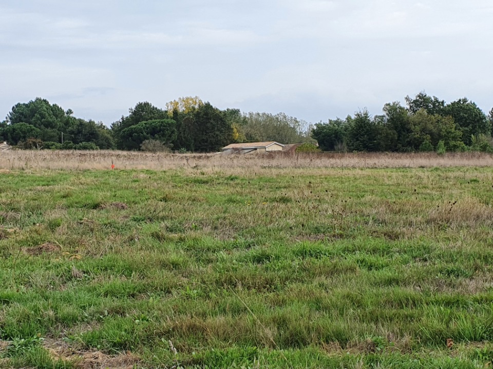 terrain constructible en vente à Laruscade (33620)