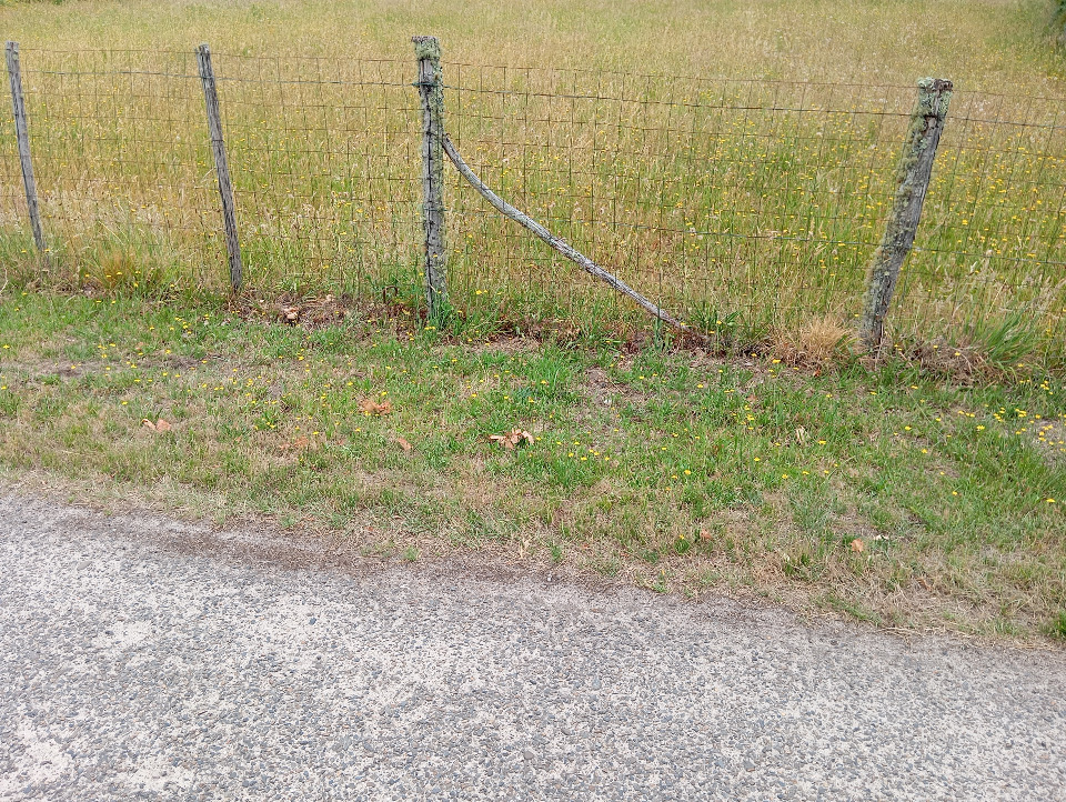 terrain à vendre de 900m2 en vente à Sanguinet (40460)