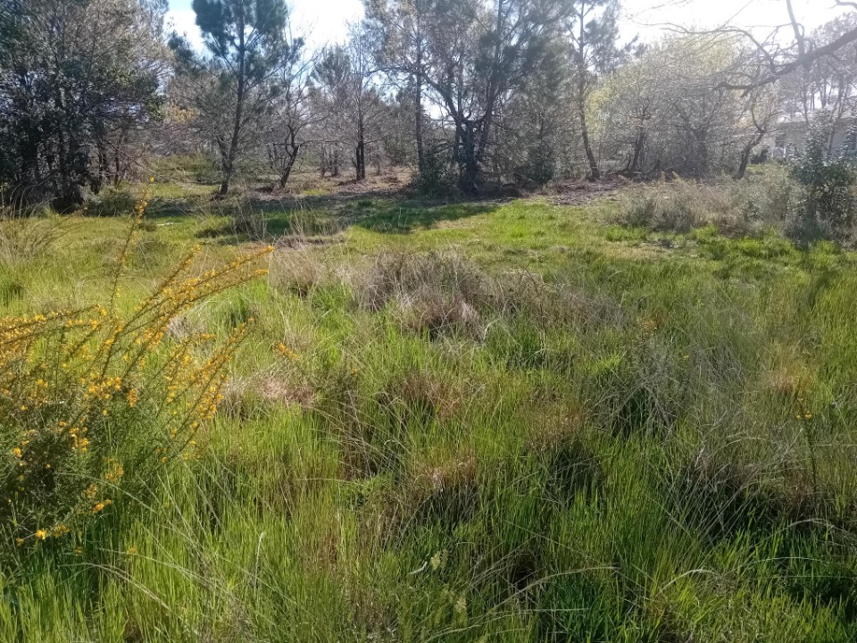 terrain à construire à Le Teich