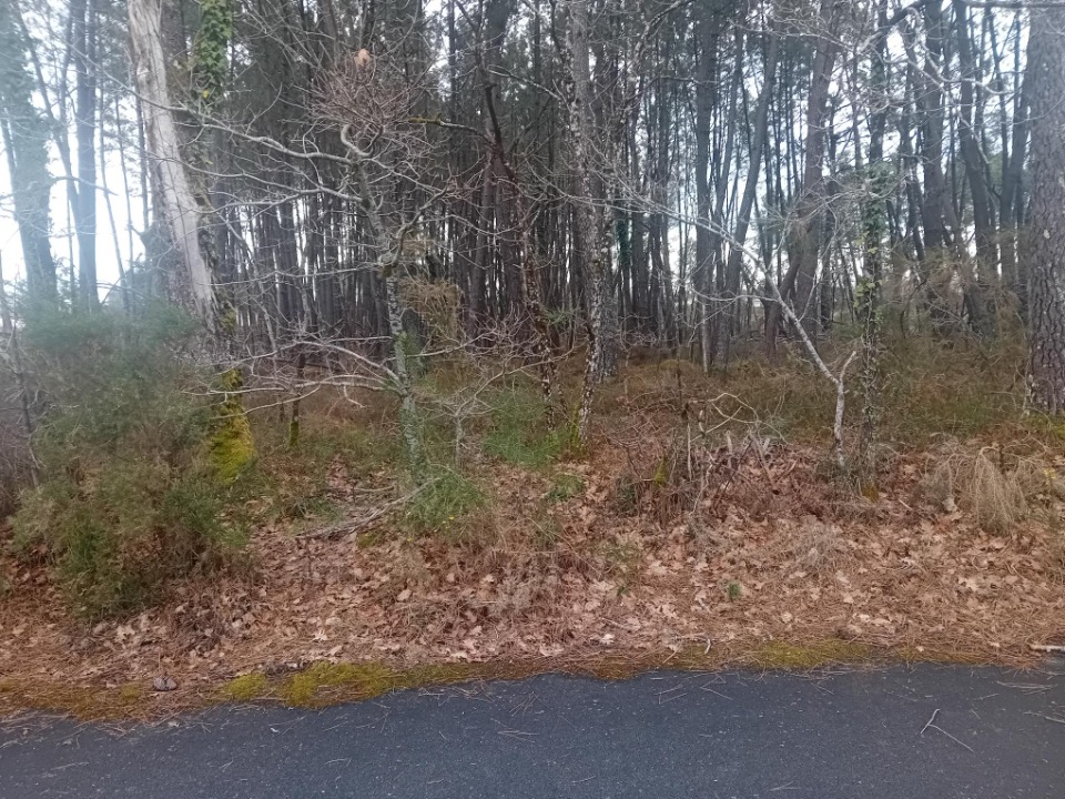 Très beau terrain à vendre de 520m2 disponible à Arcachon (33120)