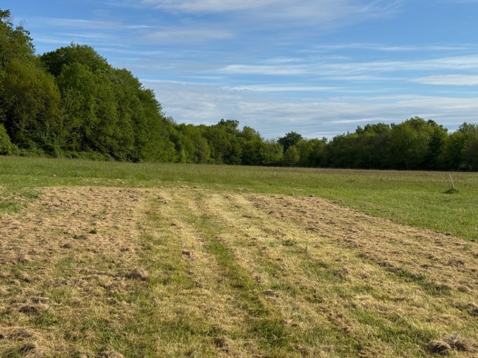 terrain constructible viabilisé disponible à Saint-Germain-d'Esteuil (33340)