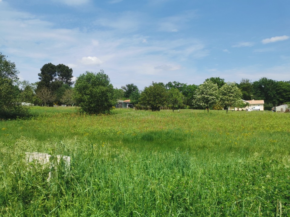 Beau terrain à vendre en vente à Bazas