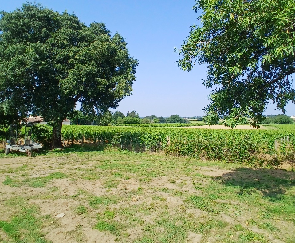 terrain de 1000m2 disponible à Saint-Quentin-de-Baron (33750)