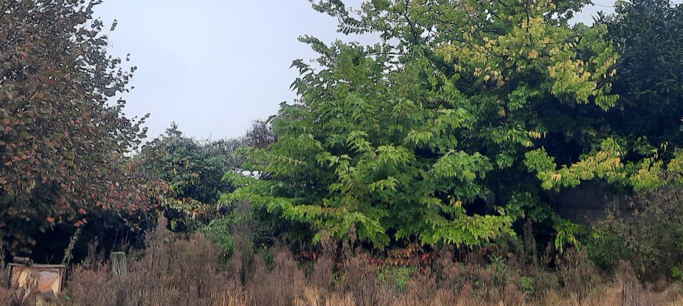 terrain à construire de 360m2 en vente à Bordeaux (33300)