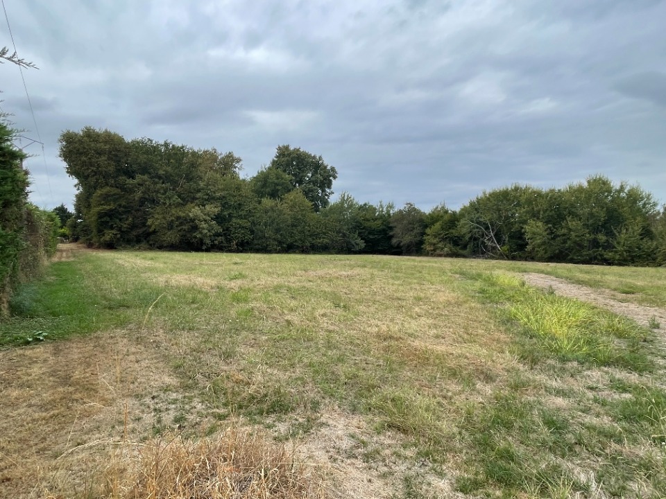 Très beau terrain à batir viabilisé de 3788m2 en vente à Saint-Félix-de-Foncaude