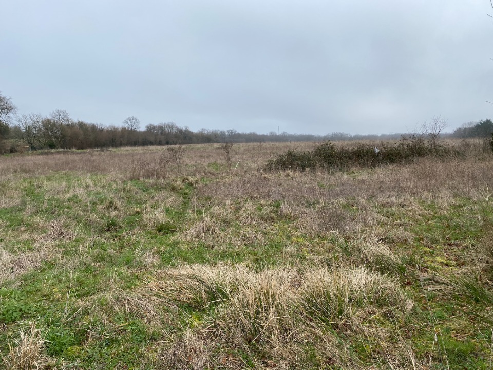 terrain constructible viabilisé disponible à Port-des-Barques (17730)