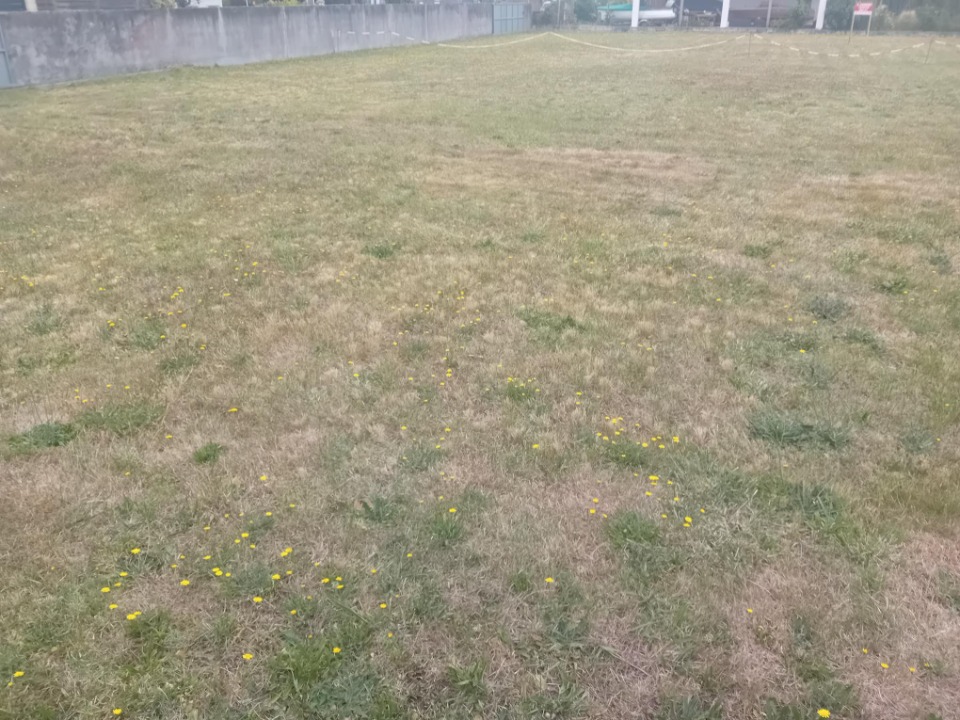 Agréable terrain à batir viabilisé en vente à Andernos-les-Bains (33510)