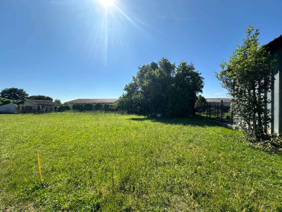 Superbe terrain à batir viabilisé de 700m2 à Martillac (33650)