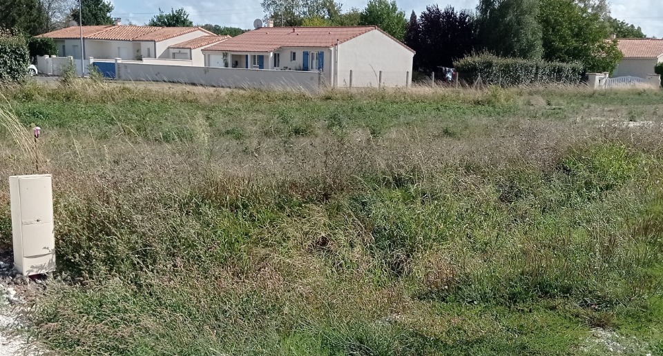 Ravissant terrain à vendre viabilisé de 457m2 en vente à Le Chay (17600)