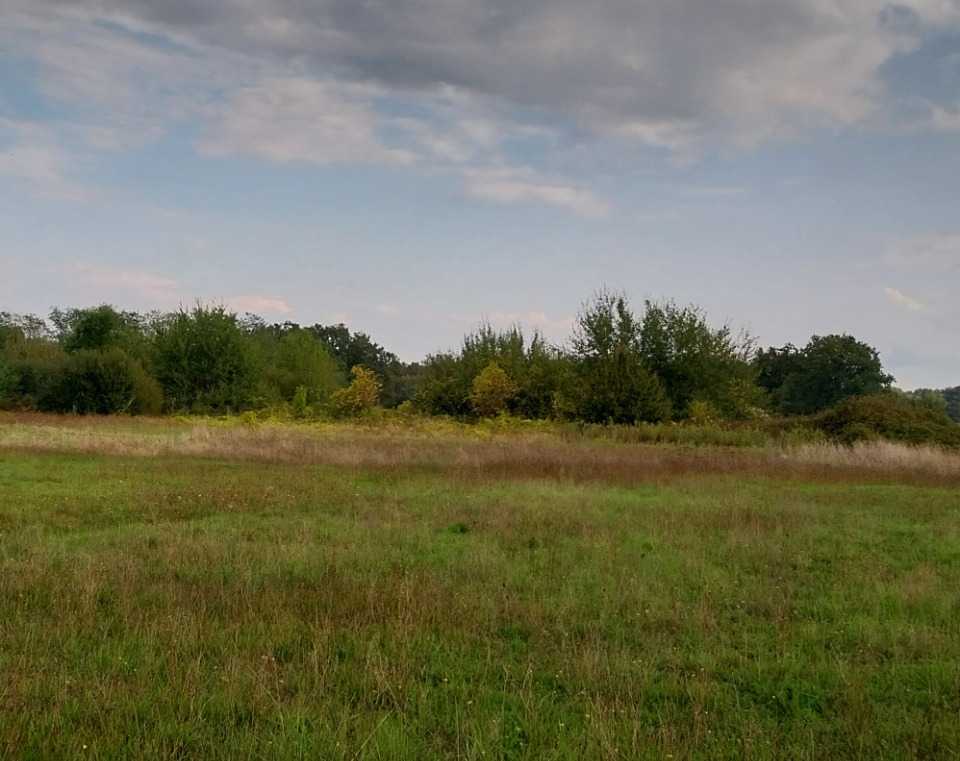 terrain constructible disponible à Saint-Denis-de-Pile (33910)