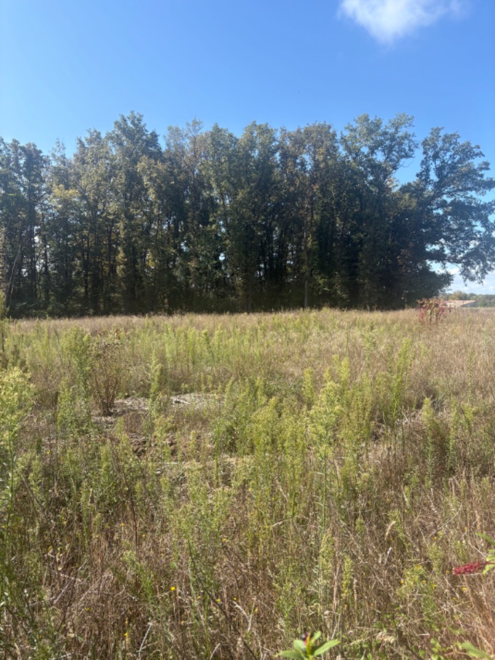 Magnifique terrain à construire de 1000m2 en vente à Galgon (33133)