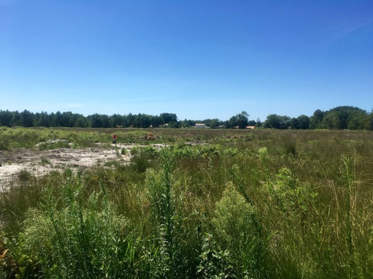Magnifique terrain constructible de 565m2 disponible à Mios (33380)