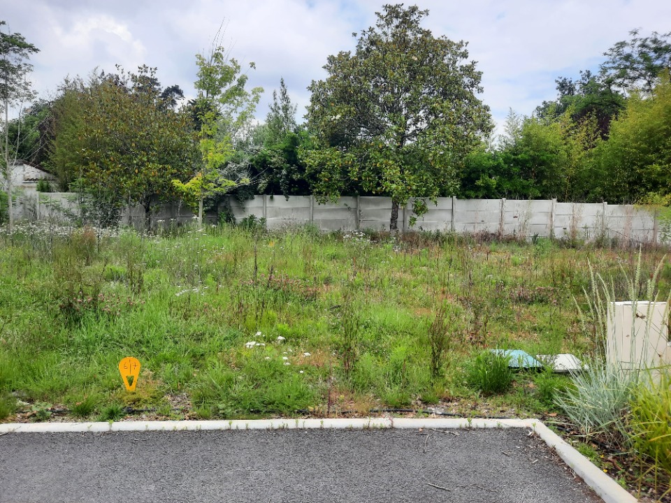 terrain à construire viabilisé en vente à Saint-Symphorien
