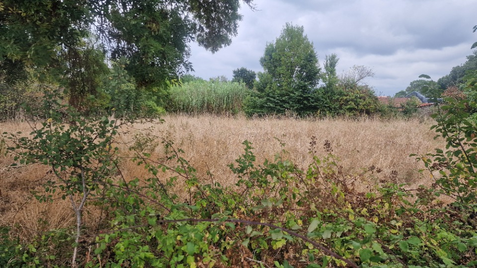 terrain à construire de 990m2 en vente à Campugnan (33390)