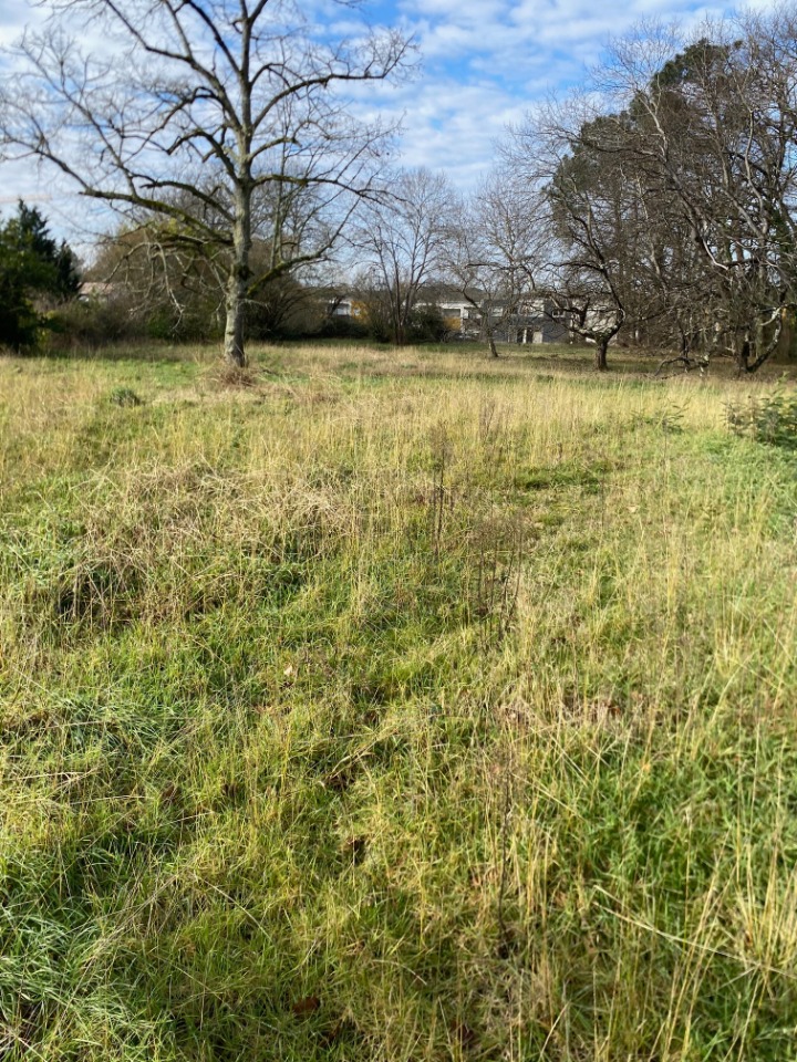 terrain de 450m2 en vente à Le Barp (33114)