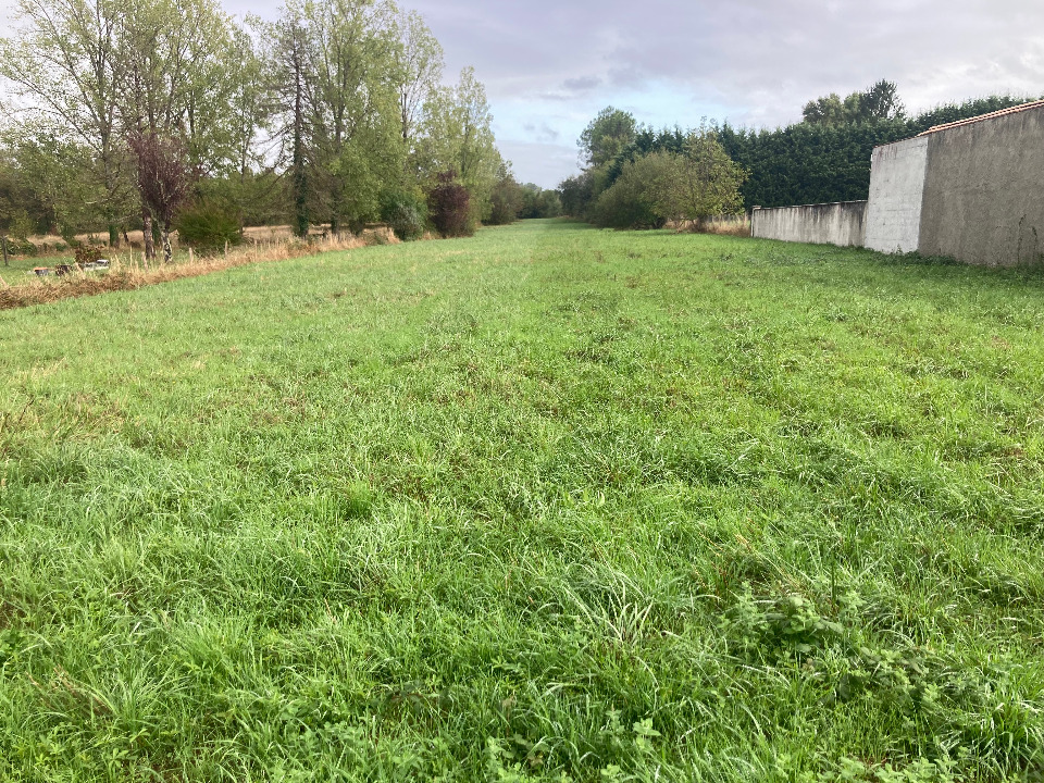 Ravissant terrain constructible viabilisé de 4210m2 en vente à La Roche-Chalais