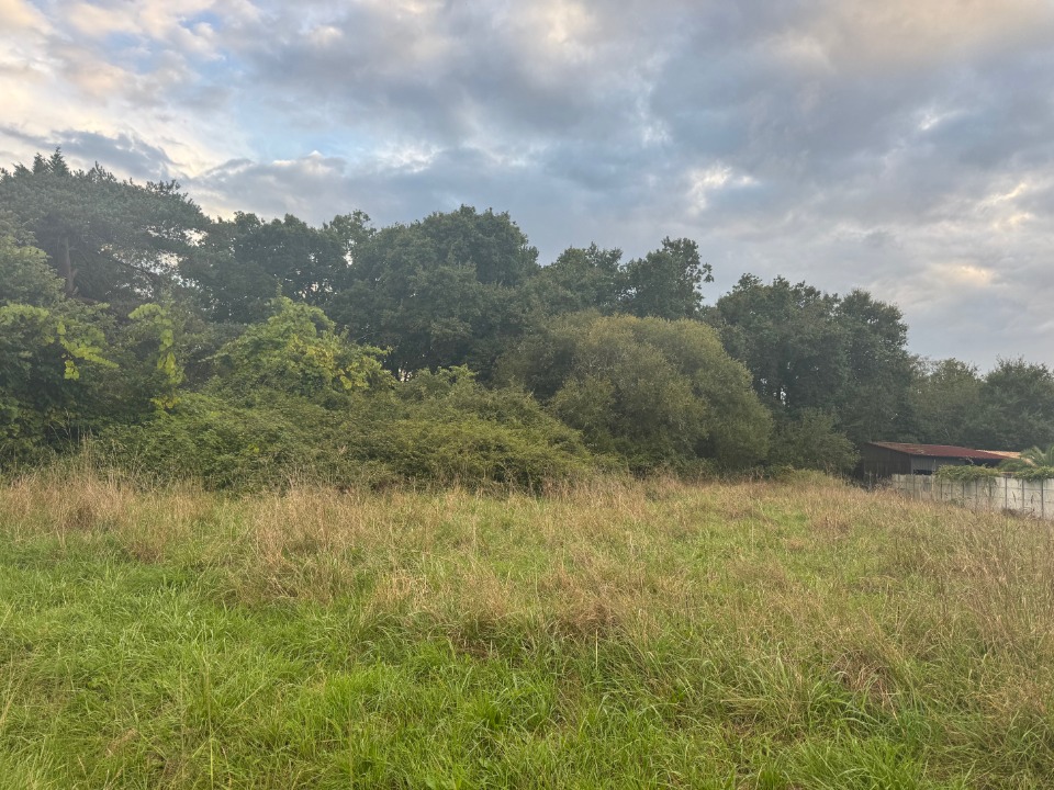 Parcelle de terrain viabilisé en vente à Vendays-Montalivet